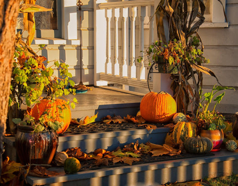 Layering Different Pumpkin Styles: Mixing Shapes and Sizes for a Rich Look - Dream Buzz