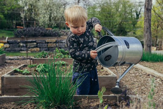 Planting Vegetables in Your Garden - Dream Buzz