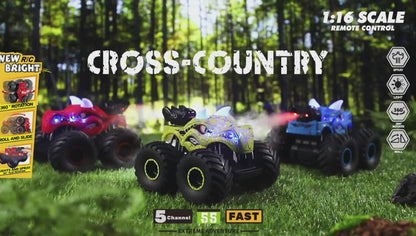 RC Monster Spray Car